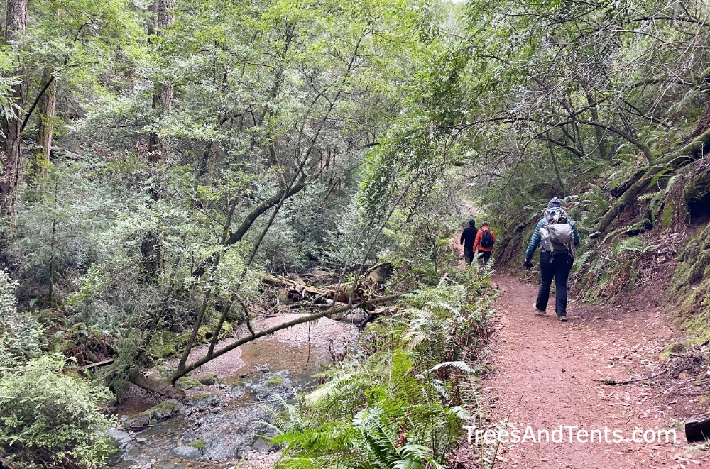 Hikers walk on the Cataract Falls Trail in Marin. The trail runs along a creek before leading to waterfalls.
