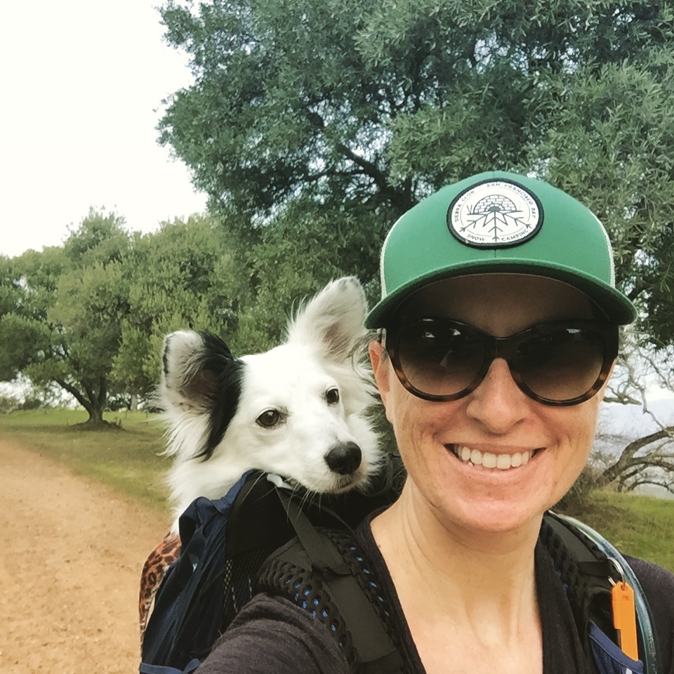 Dog riding in a backpack on a dog friendly hiking trail.