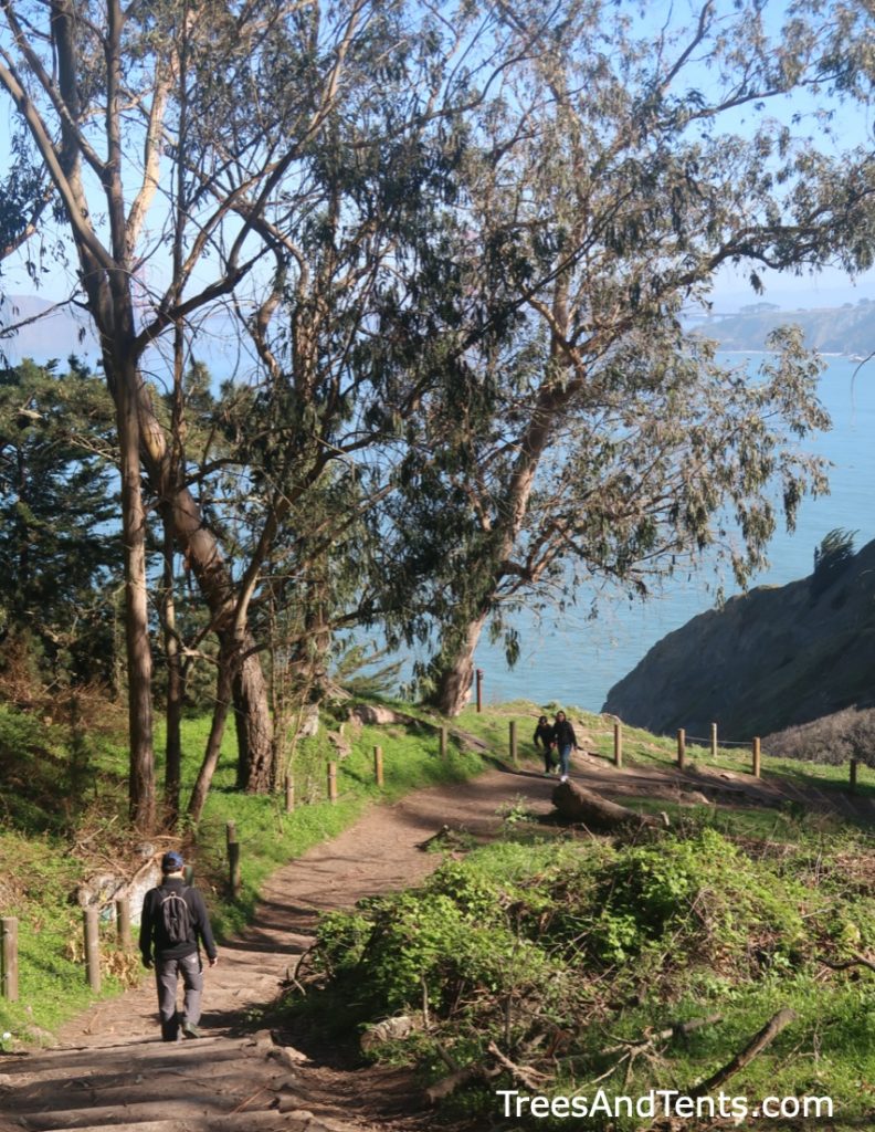 Walking down the stairs and into the Eucalyptus grove at Lands End