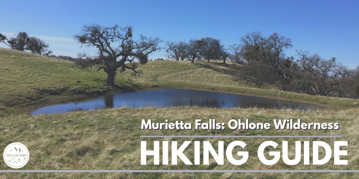 The challenging 12-mile trail to seasonal Murietta Falls in the Ohlone Wilderness has over 4000 feet of elevation gain.