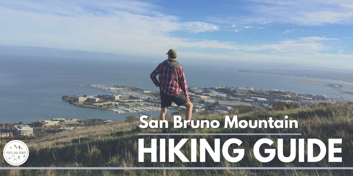The ridge-to-ridge loop at San Bruno Mountain has stunning views of the San Francisco Bay.
