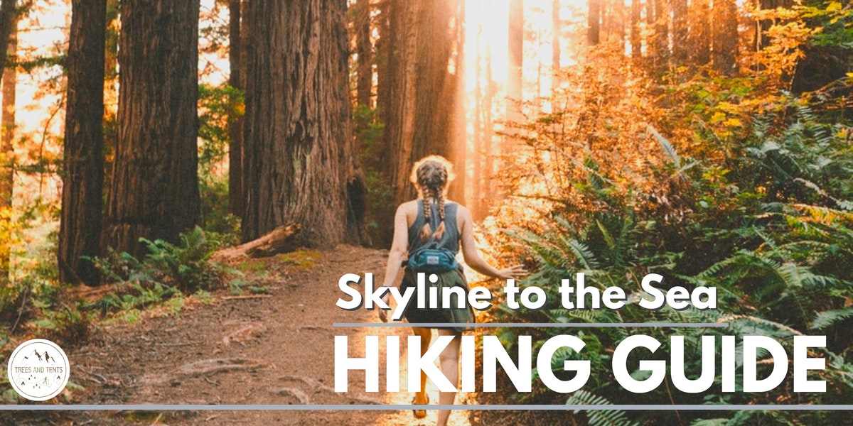 The Skyline-to-the-Sea trail is a 30-mile backpacking trip through Castle Rock State Park and Big Basin Redwoods State Park.