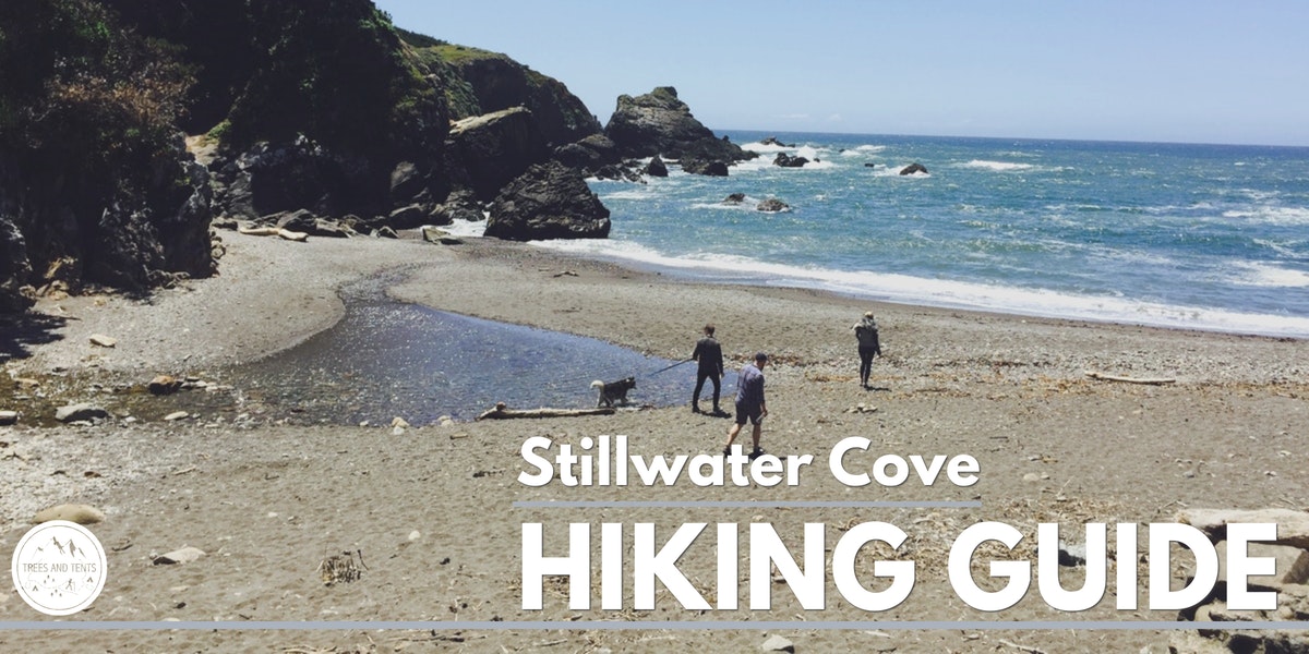 Stillwater Cove is part of Sonoma County Regional Park and has Redwood trees and a sandy cove beach