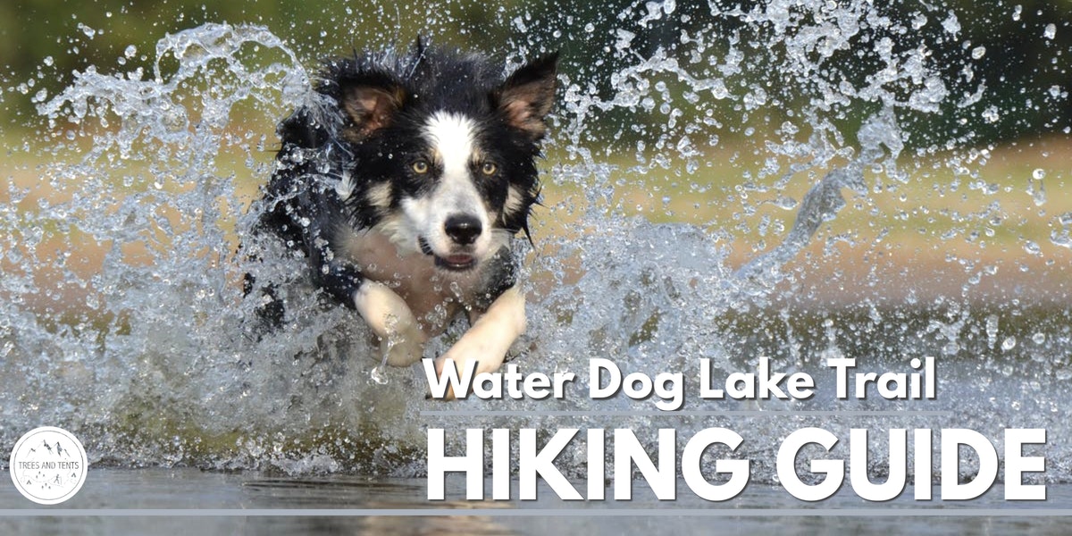 Water Dog Lake is a dog-friendly hiking trail in the San Francisco Bay Area