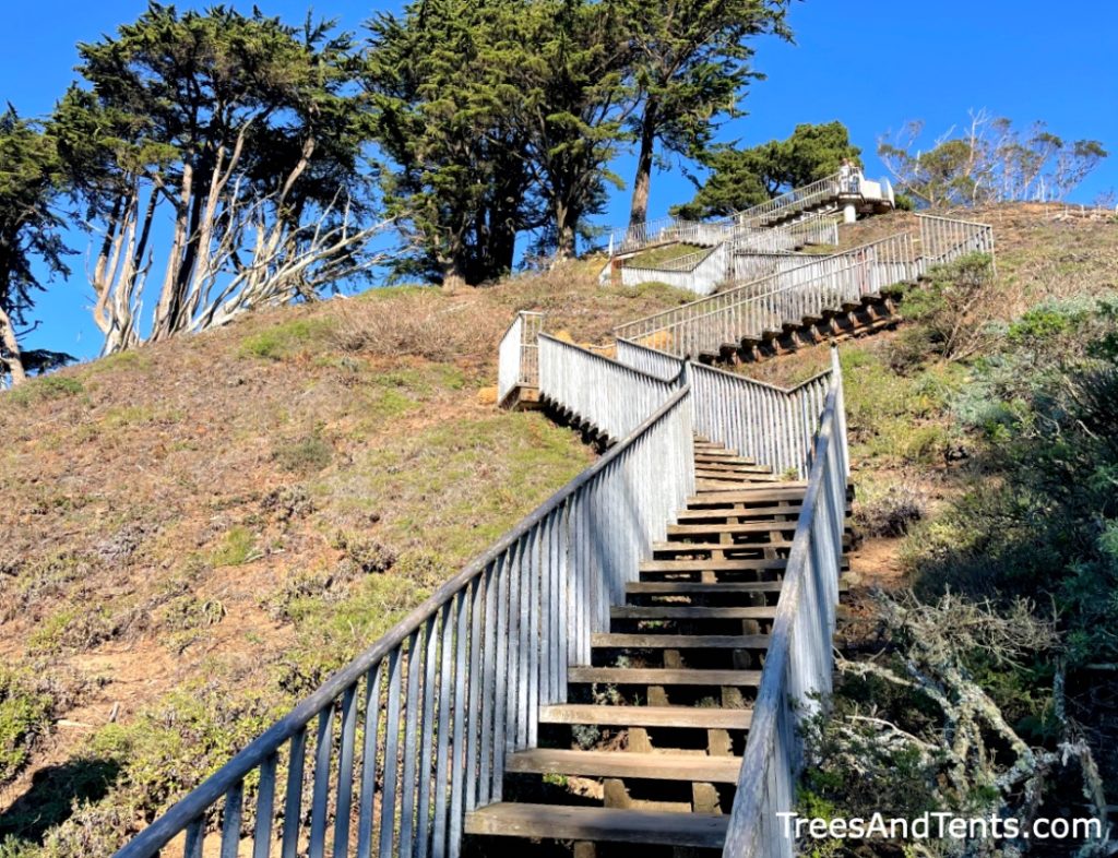 Wooden stairs to San Francisco's Grandview Park.